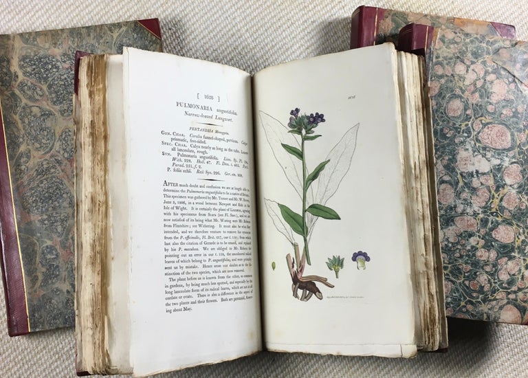 Item #17900090 English Botany; or, Coloured Figures of British Plants, with their Essential Characters, Synonyms, and Places of Growth. To which will be added, Occasional Remarks. 36-volume set. [Known also as 'Sowerby's Botany'.]. with occasional, James Edward Smith.
