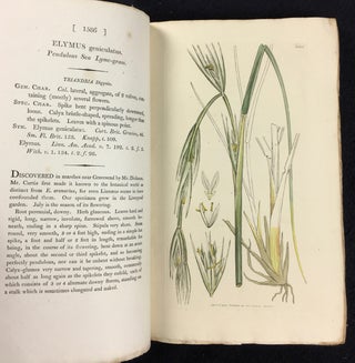 English Botany; or, Coloured Figures of British Plants, with their Essential Characters, Synonyms, and Places of Growth. To which will be added, Occasional Remarks. 36-volume set. [Known also as 'Sowerby's Botany'.]