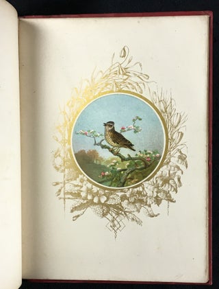 Feathered Favourites. Twelve coloured pictures of British Birds, from drawings by Joseph Wolf.