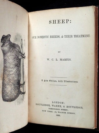 Sheep: Our domestic breeds, & their treatment.