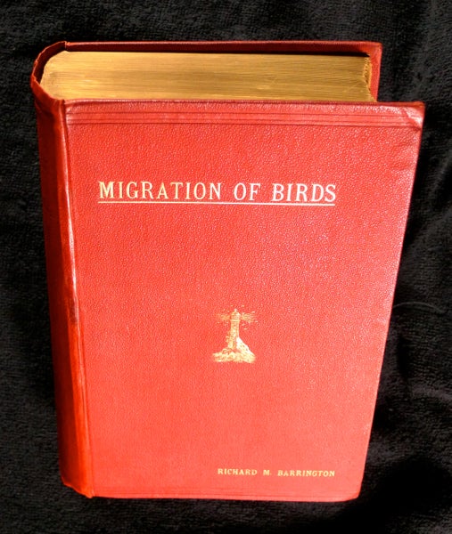 Item #19005040 The Migration of Birds: as observed at Irish Lighthouses and Lightships including the original reports from 1888-97, now published for the first time, and an analysis of these and of the previously published reports from 1881-87: together with an Appendix giving the measurements of about 1600 wings. Richard M. Barrington.