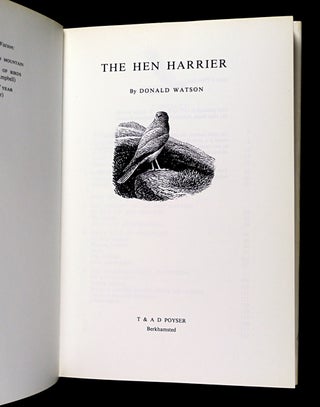The Hen Harrier.